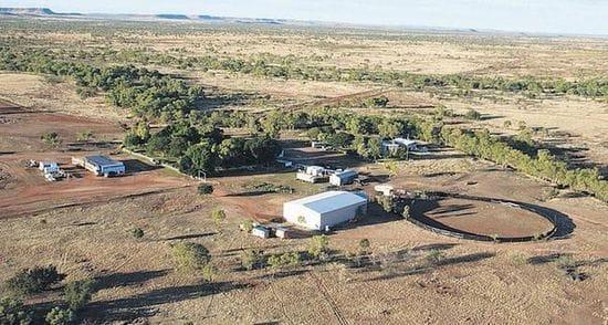 Rinehart, Chinese to buy cattle empire